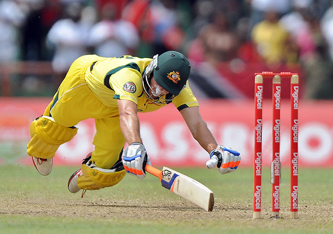 The week in sport: Michael Hussey