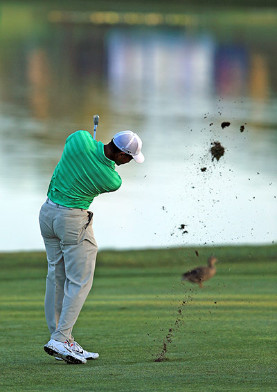 The week in sport: Tiger Woods
