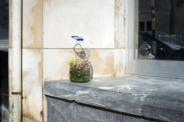 richardbrittain: 3. 5 Litre Greenhouse