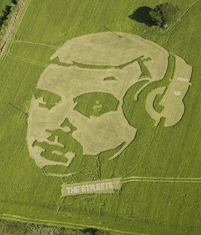 Mike Skinner: Mike Skinner crop circle