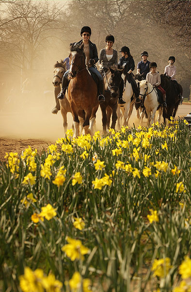 24 hours: Horse riders enjoy the spring sunshine in Hyde Park