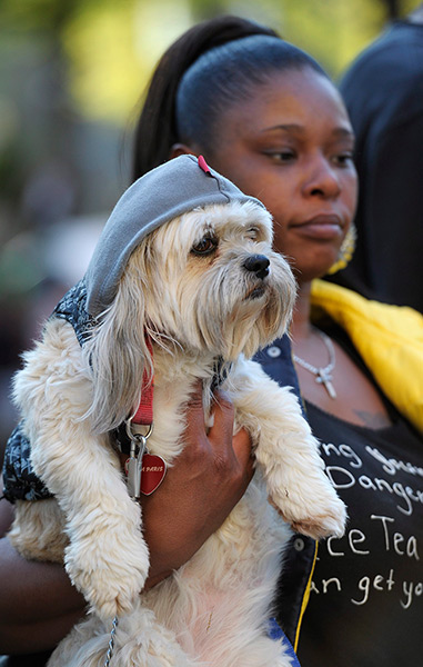 Trayvon Martin marches: A dog wearing a hoodie is held by owner during a rally in Atlanta