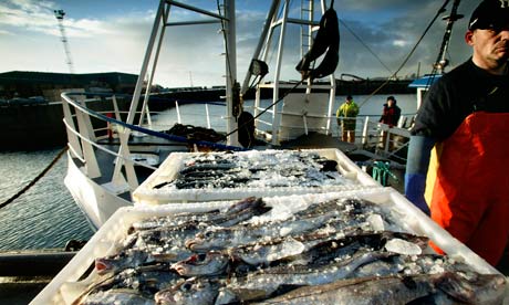 commercial fishing boat