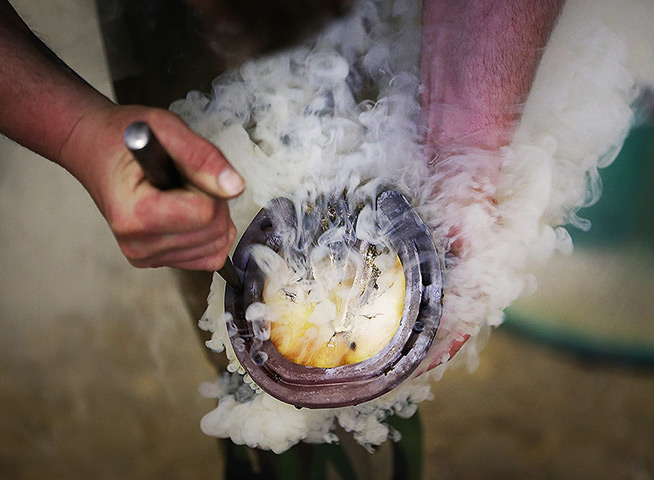 24 hours in pictures:  A farrier attaches a horse shoe still hot from the furnace in Hyde Park