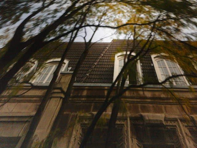 Exhibitionist 3103: Zoe Leonard