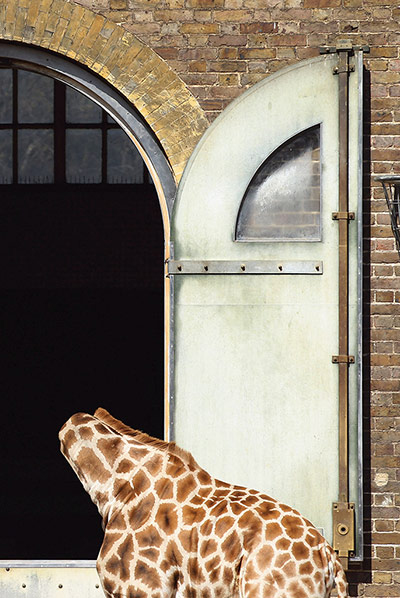 week in wildlife: UK Experiences Unseasonably Warm Weather