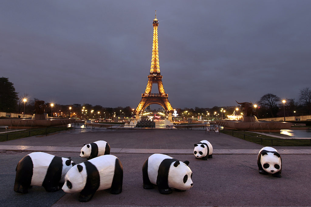 Earth Hour - in pictures