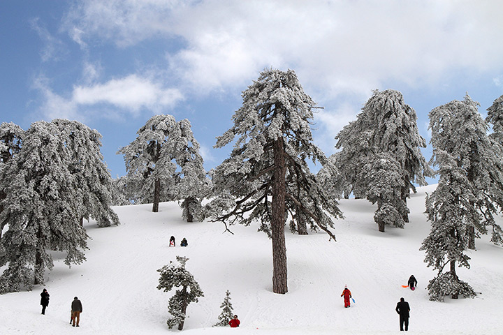 24 hours: Troodos, Cyprus