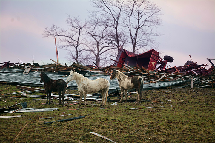 24 hours: Piner, Kentucky, US