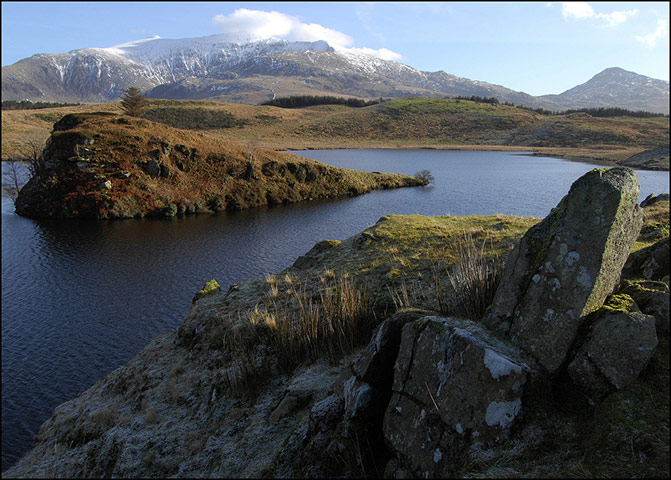 Green Shoots: Sign of spring on flickr group