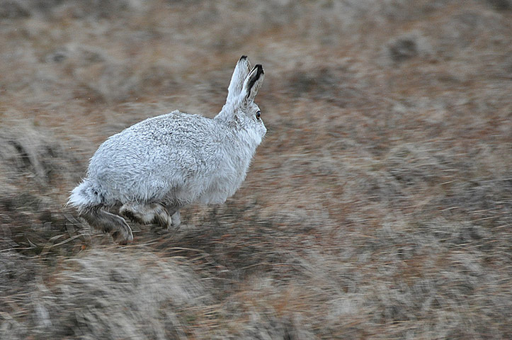 Green Shoots: Sign of spring on flickr group