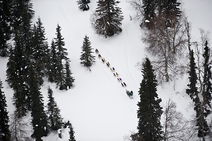 Iditarod Sled Dog Race: A musher heads toward the Finger Lake checkpoint