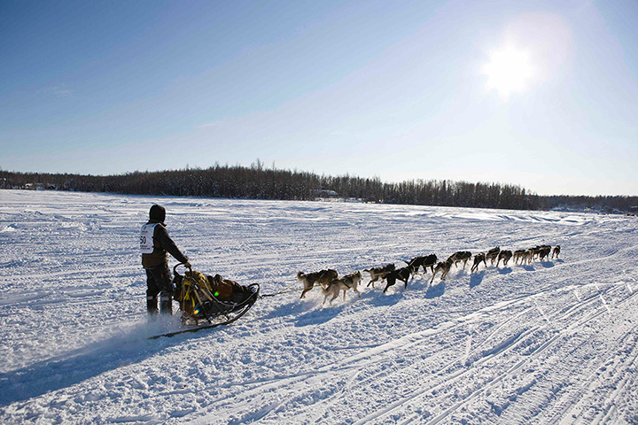  Iditarod Sled Dog Race: A team heads towards Nome 