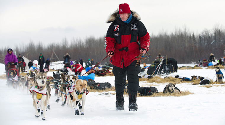  Iditarod Sled Dog Race: Dogs are led from the Nikolai checkpoint 