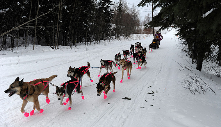  Iditarod Sled Dog Race: A team leaves the checkpoint in Nikolai