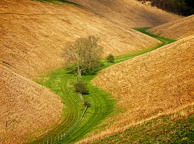 In pictures: bend: Dry valley in the Yorkshire Wolds