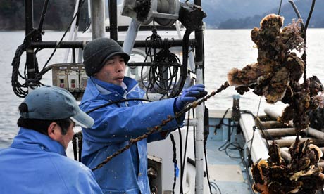 oyster-farmers-Japan