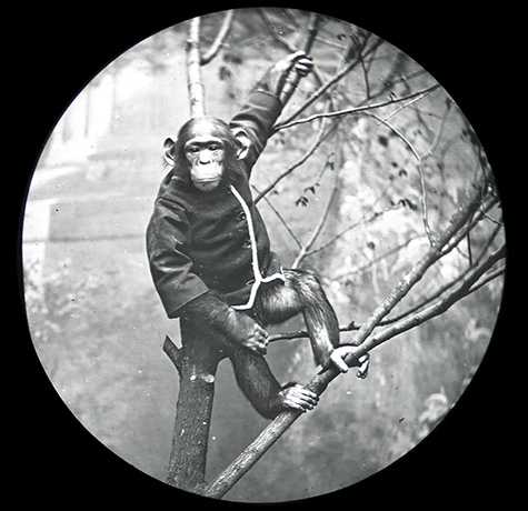 Exhibitionist 1003: Minerva Cuevas