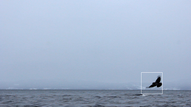 Exhibitionist 1003: Michael Day