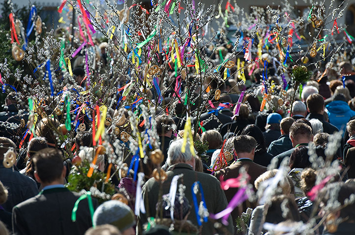 Palm Sunday: Residents carry catkin twigs during a Palm Sunday procession 