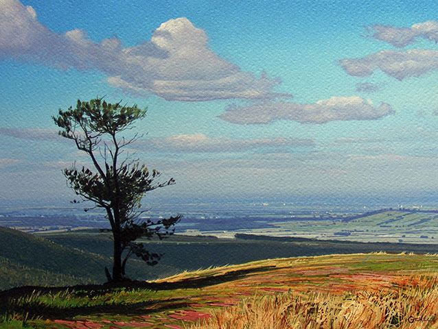 Share Your Art: Tree before felling' by John Cheall