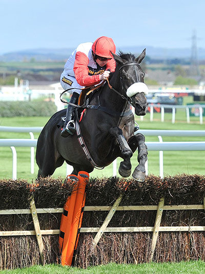 sport2: Horse Racing