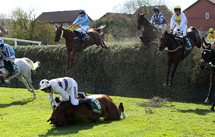 sport2: Aintree Races