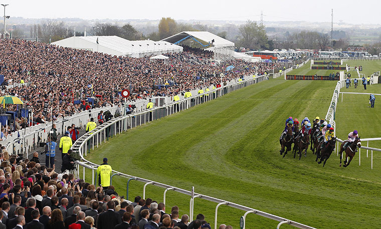 racing: Horse Racing