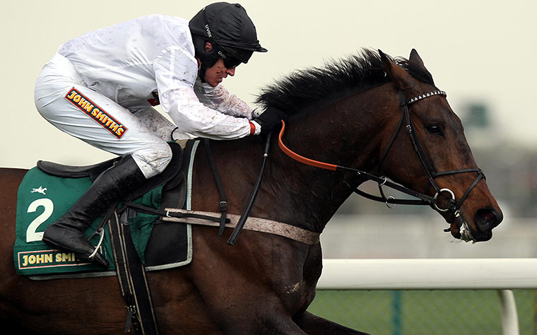 racing2: Horse Racing