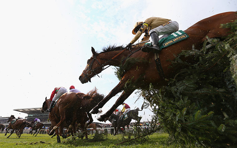horses: Aintree Races