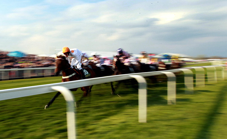 horsies: Horse Racing