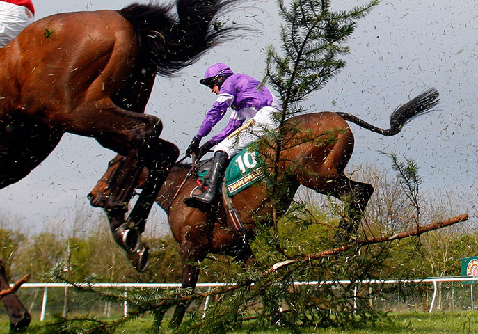 horsies: Always Waining