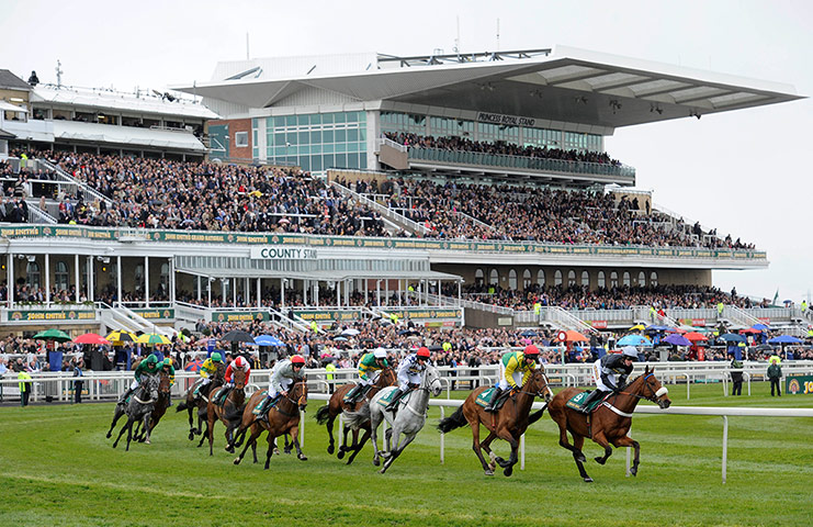National: Runners in the first race pass by the packed stands
