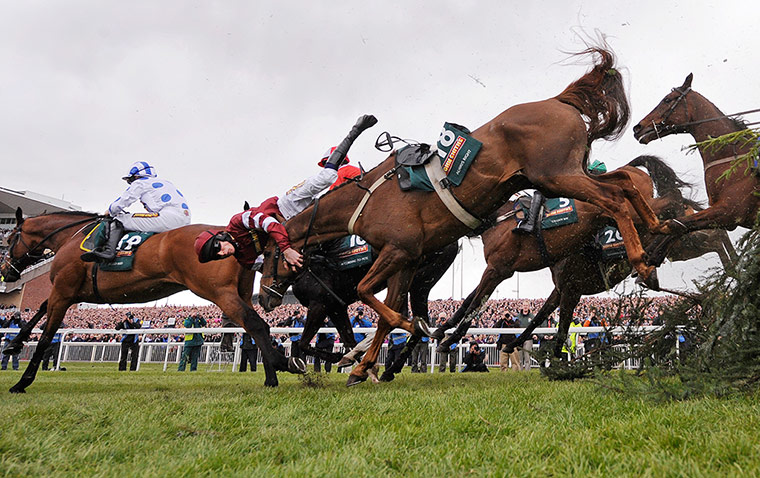 National: James Reveley is unseated from Always Right 