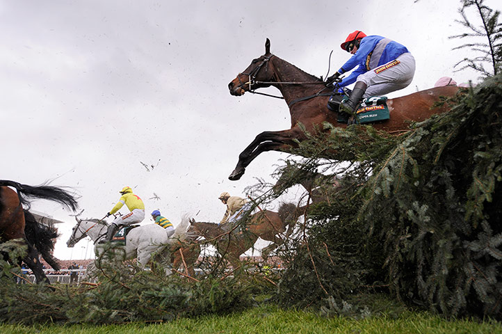 National: Neptune Collonges and Cappa Bleu clear the Chair
