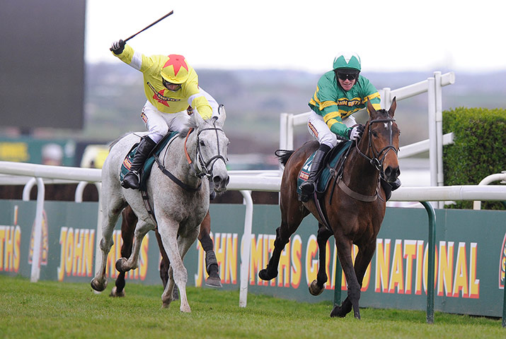 National: Neptune Collonges and Sunnyhillboy 