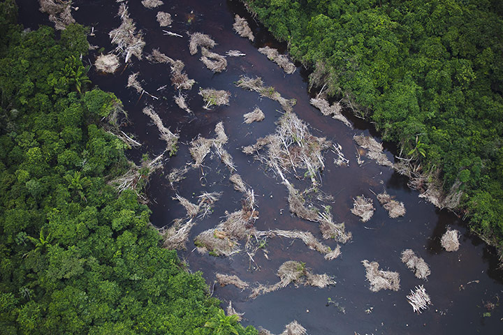 Belo Monte Dam: Belo Monte Dam Prioject