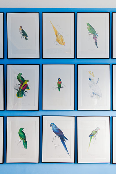 Homes Feature: Homes feature, prints from The Parrots by Edward Lear