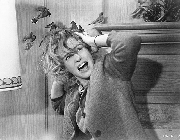 Genius of Hitchcock: Tippi Hedren in The Birds, 1963