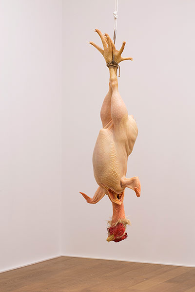 Ron Mueck exhibition: 'Still Life' 2009 (Mixed Media) by Ron Mueck