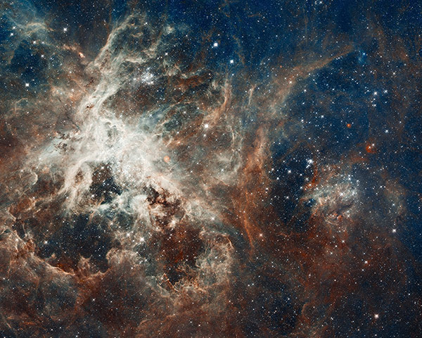 News pictures of the day: A stellar breeding ground taken by the Hubble telescope