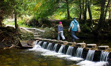 People on stepping stones