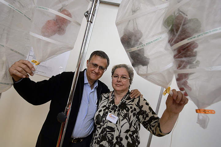 Exhibition of Inventions: protective case made with tissue that can be used for food and plants