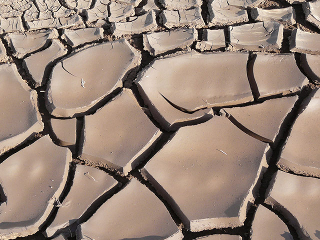 Water: Flickr group reader