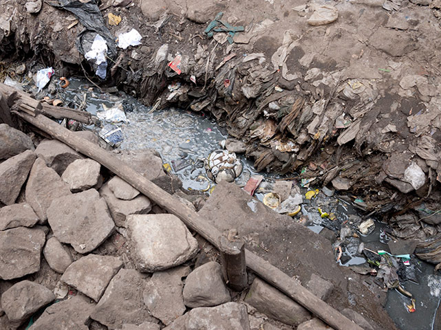 Water: Flickr group reader