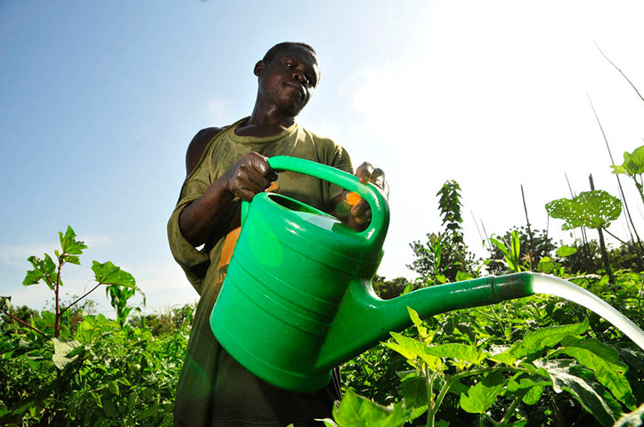 Water: Flickr group reader