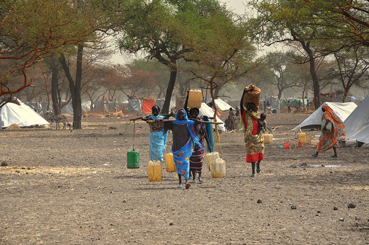 Water: Flickr group reader