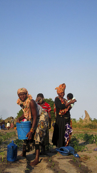 Water: Flickr group reader