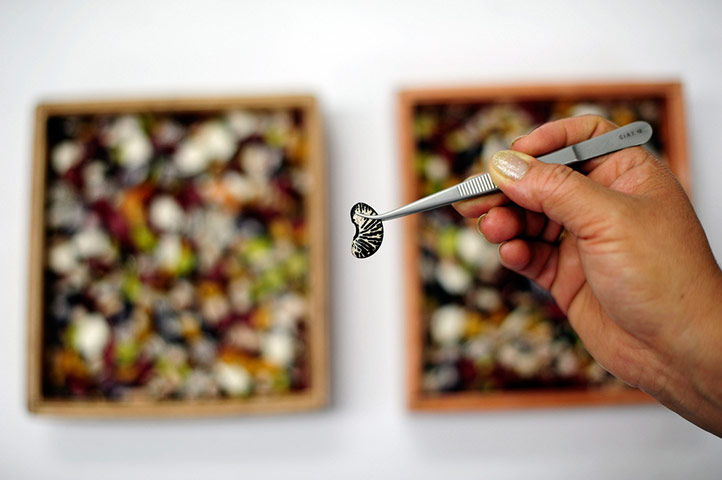 Climbing beans: impact of improved climbing beans in Rwanda