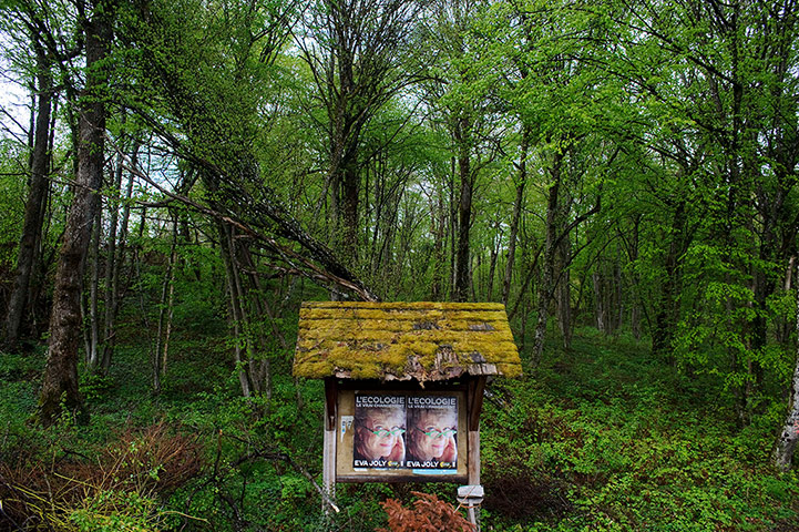 Picture desk live: French Election
